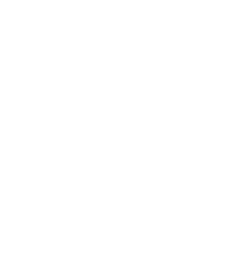 LOVE Border Collie model negru pe tricou