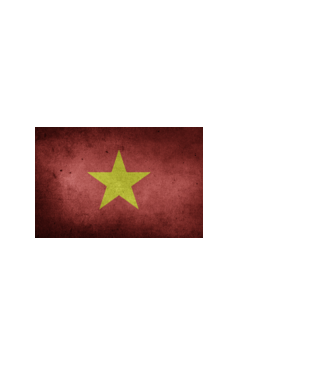 VIETNAM model alb pe tricou
