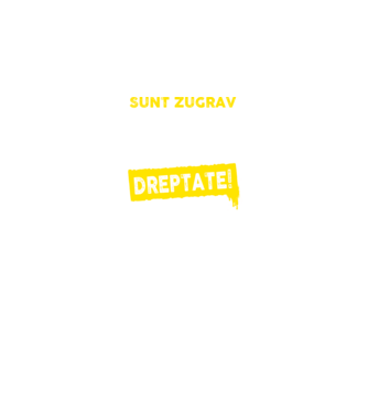 Sunt zugrav, pentru a economisi timp, să reținem că am întotdeauna dreptate! model negru pe tricou