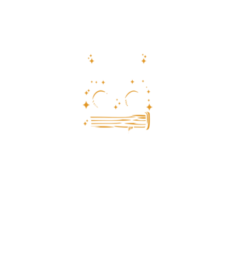 Cel mai bun profesor istorie model negru pe tricou