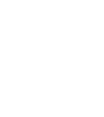 W.I.F.E. model alb pe tricou