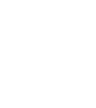 România made in model negru pe tricou