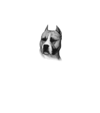 Staffordshire Terrier model alb pe tricou