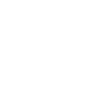 Zidarul model negru pe tricou