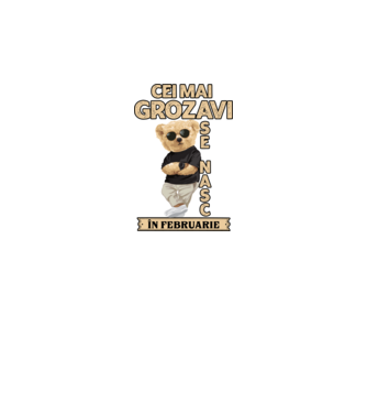 Teddy cel cool februarie model negru pe tricou