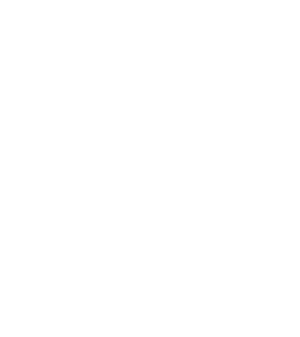 Crazy Cat Ladies are born in January model negru pe tricou