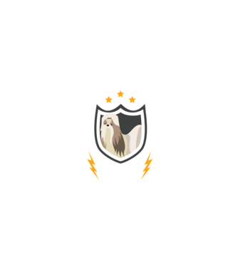 serviciu de securitate - securitate - persistență - 24 de ore pe zi model negru pe tricou