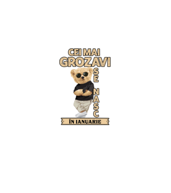 Teddy cel cool ianuarie model  pe tricou