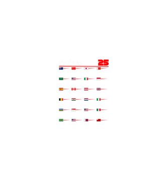 F1 calendar 2025 negru model nisipiu pe tricou