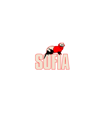 sofia la casa de papel model negru pe tricou