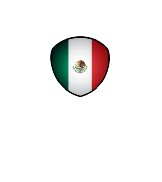 MEX-jabulani-flag model alb pe tricou