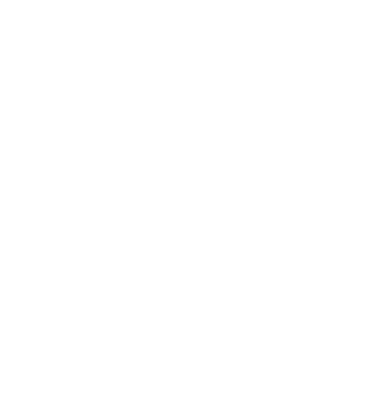 LOVE Havanese model negru pe tricou