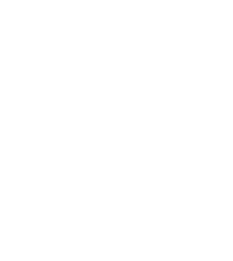 demodog logo model negru pe tricou