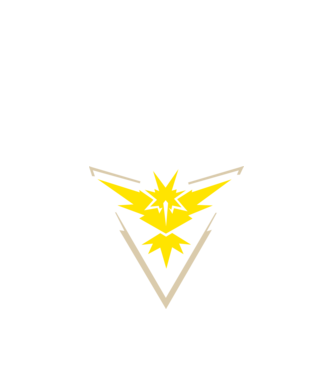 Instinct team logo model negru pe tricou