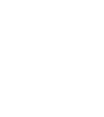 nimeni nu e perfect, dar stăpânii de havanese sunt foarte aproape model negru pe tricou