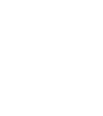 W.I.F.E. model negru pe tricou