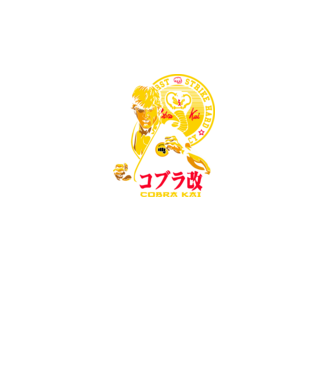 cobra kai poster model turcoaz pe tricou