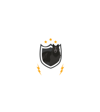 serviciu de securitate - securitate - persistență - 24 de ore pe zi model gri pe tricou