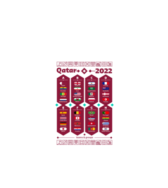 Qatar 2022 teams - groups white model alb pe tricou
