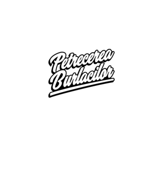 petrecerea burlacilor model albastru închis pe tricou