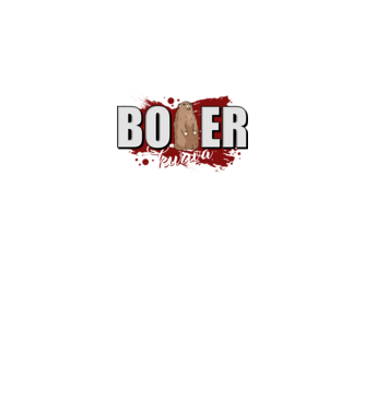 Bober Kurwa model negru pe tricou