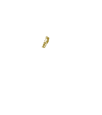 King in the north 2c model negru pe tricou