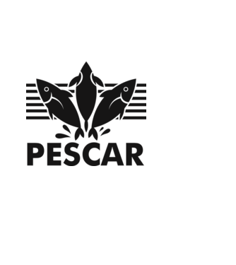Pescar original model albastru deschis pe tricou