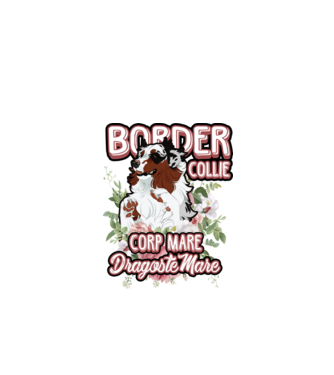 border collie - multă blană multă dragoste model alb pe tricou