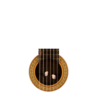 Guitar prison model negru pe tricou