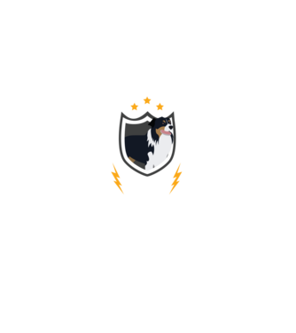 serviciu de securitate - securitate - persistență - 24 de ore pe zi model negru pe tricou