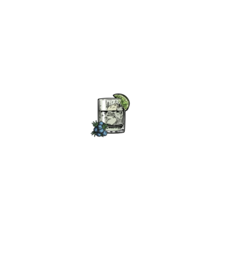 Let the fun be gin model negru pe tricou