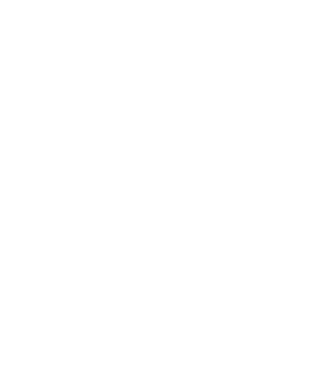 EarthLogo model negru pe tricou