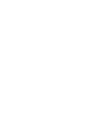 România Dracula 2 model negru pe tricou