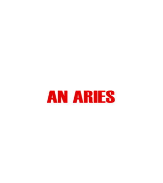 Piss of an ARIES model negru pe tricou