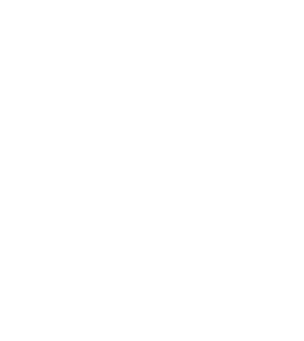 Crazy Cat Ladies are born in January model negru pe tricou