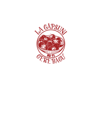 La căpșuni nu-ți cere bacu model alb pe tricou