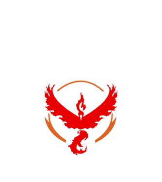 Valor team logo model alb pe tricou