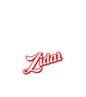 Cel mai bun ZIDAR din lume model negru pe tricou