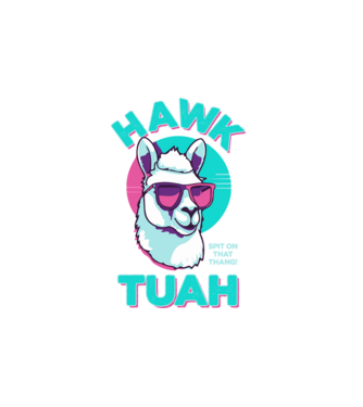 Hawk tuah llama retro sunglasses model alb pe tricou
