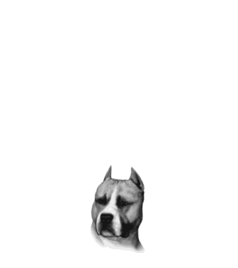 Staffordshire Terrier model alb pe tricou