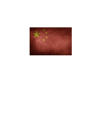 CHINA model  pe tricou