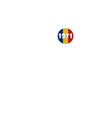 made in 1971 retro vintage model negru pe tricou