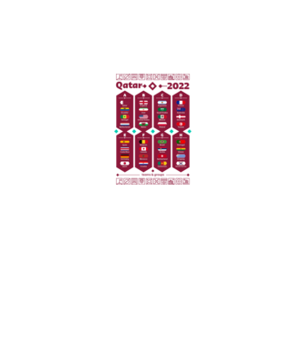 Qatar 2022 teams - groups white model alb pe tricou