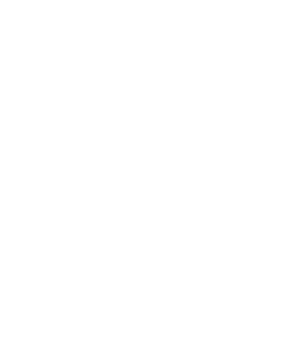 Crazy Cat Ladies are born in August model turcoaz pe tricou