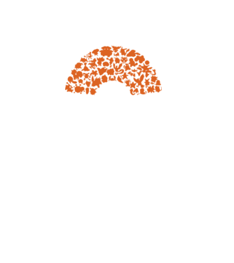Pokeball model negru pe tricou