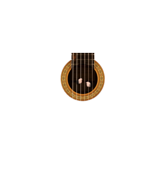 Guitar prison model negru pe tricou