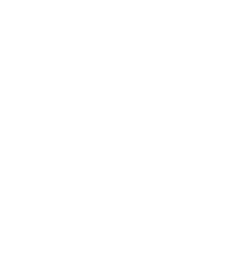 Camion 2. model nisipiu pe tricou