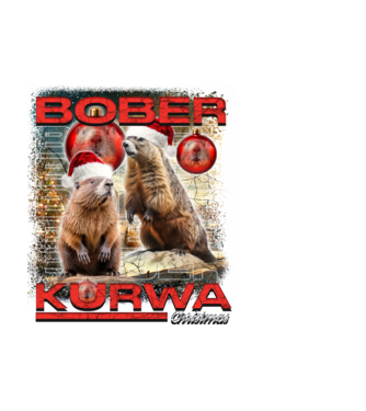 Bober kurwa christmas universe model alb pe tricou