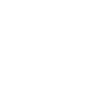 Camion 2. model gri pe tricou