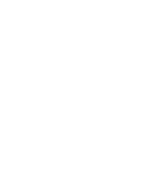 LOVE Border Collie model turcoaz pe tricou
